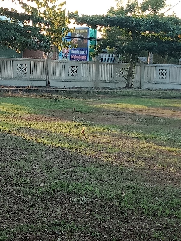 Trường PT Dân tộc Nội trú Tỉnh Bà Rịa Vũng Tàu