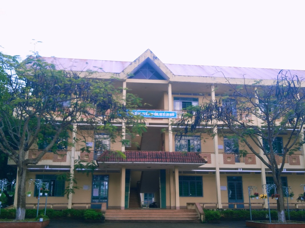 Trường THPT Nguyễn Du