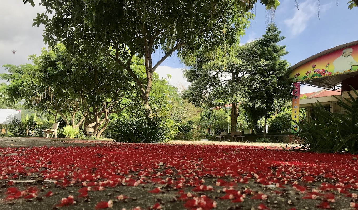 Trường Tiểu học Bình Trung