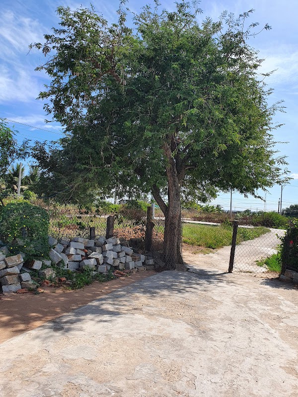 Nhà Anh Luy (Trưởng Thôn Thuận Điền)