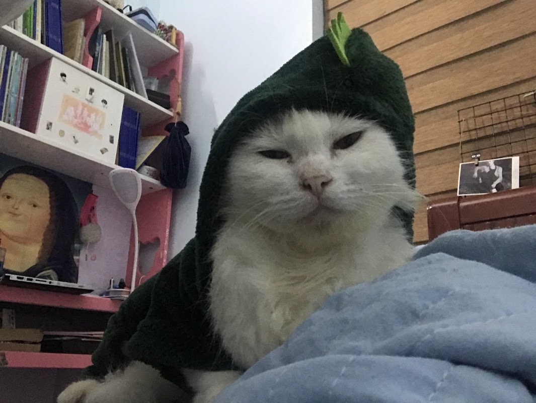 Trường trung học cơ sở Phú Thái