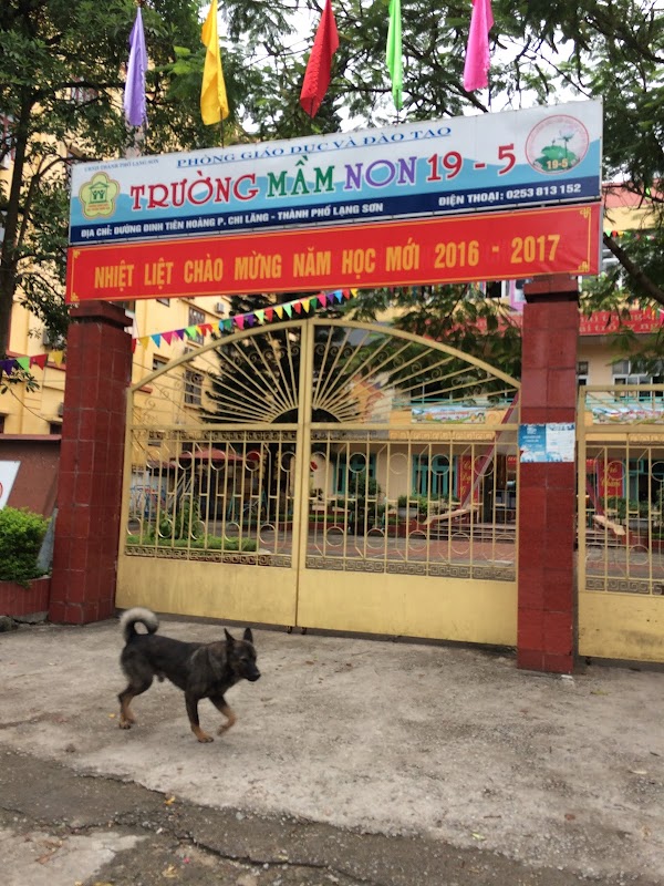 Trường Mầm Non 19-5