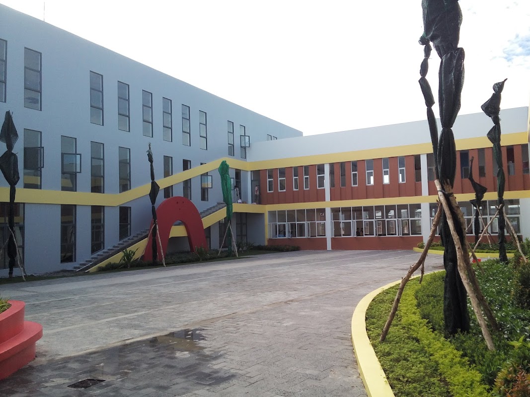 Trường Mầm Non – Tiểu học Tổ Ong Vàng – Cao Lãnh