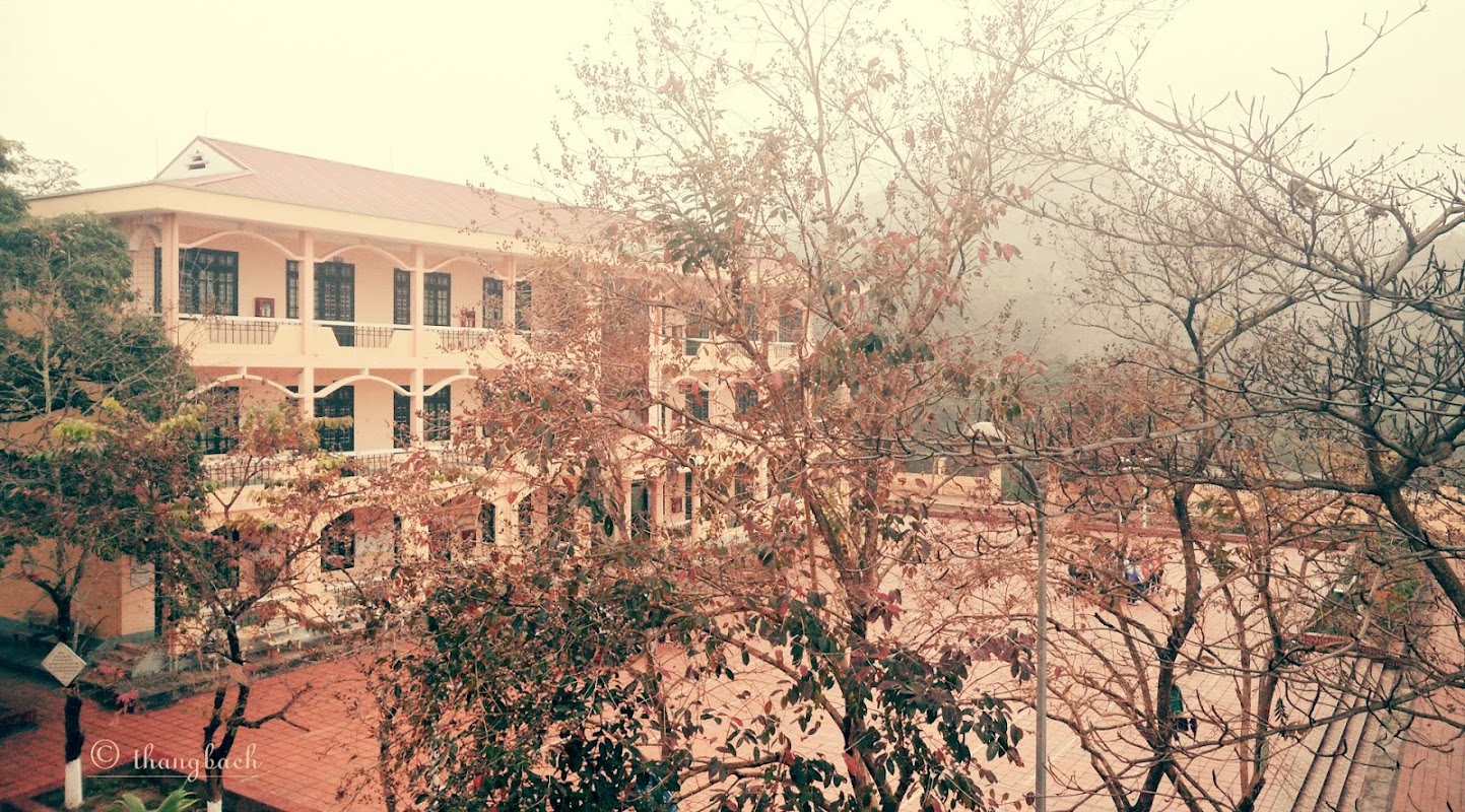 Trường Phổ Thông Dân Tộc Nội Trú THPT Hoà Bình