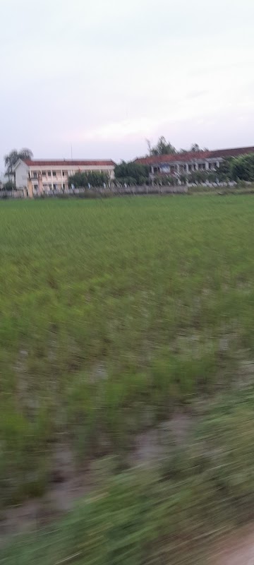 Trường Tiểu Học Bình Hòa – H.Tây Sơn