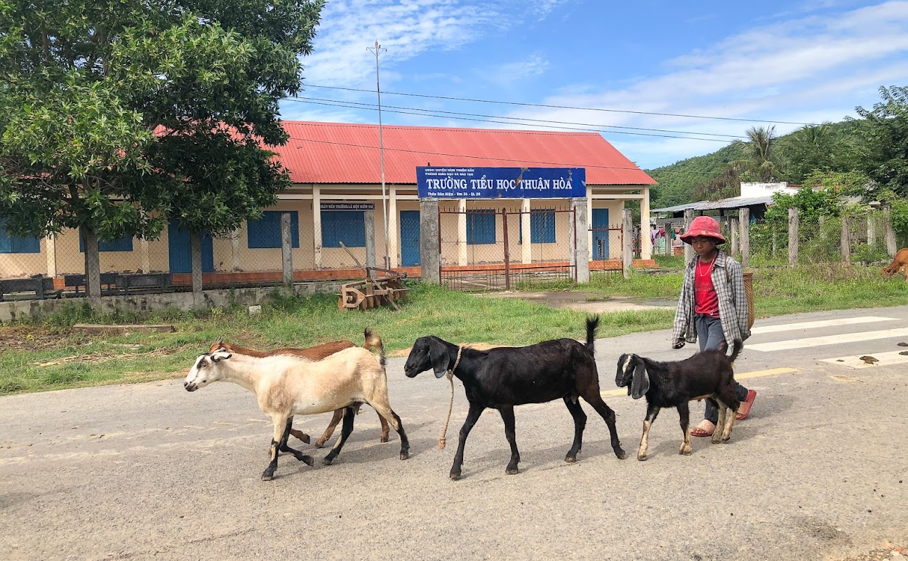 Trường Tiểu học Thuận hòa