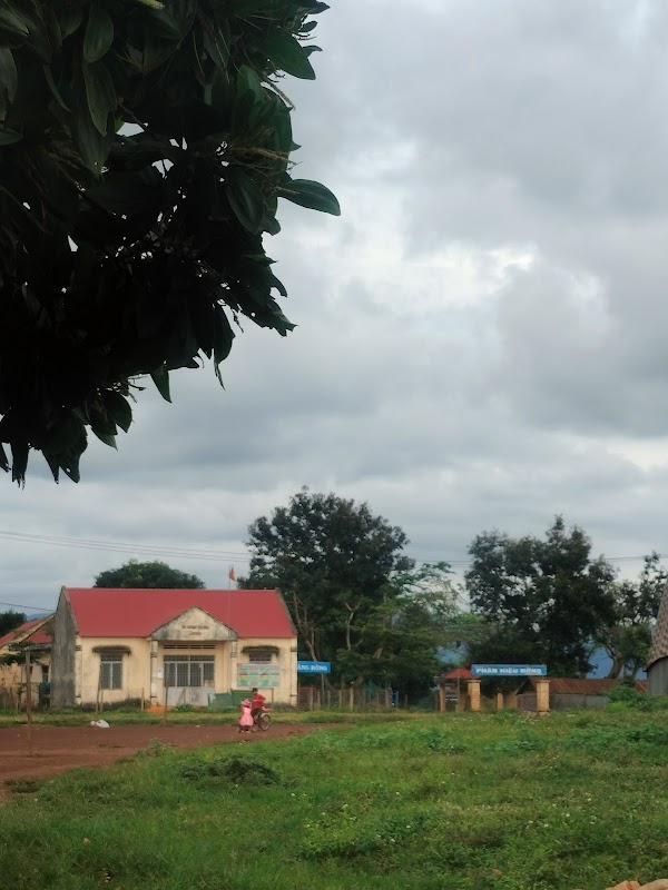 Trường Học Cấp 1