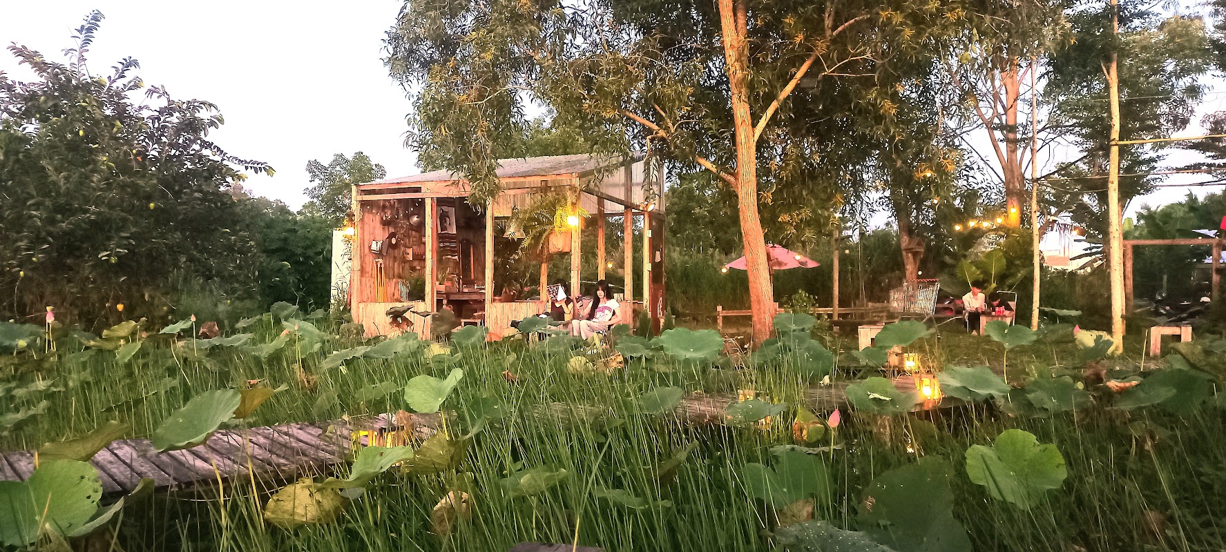 Trường Phổ Thông Dân Tộc Nội Trú Tỉnh Cà Mau