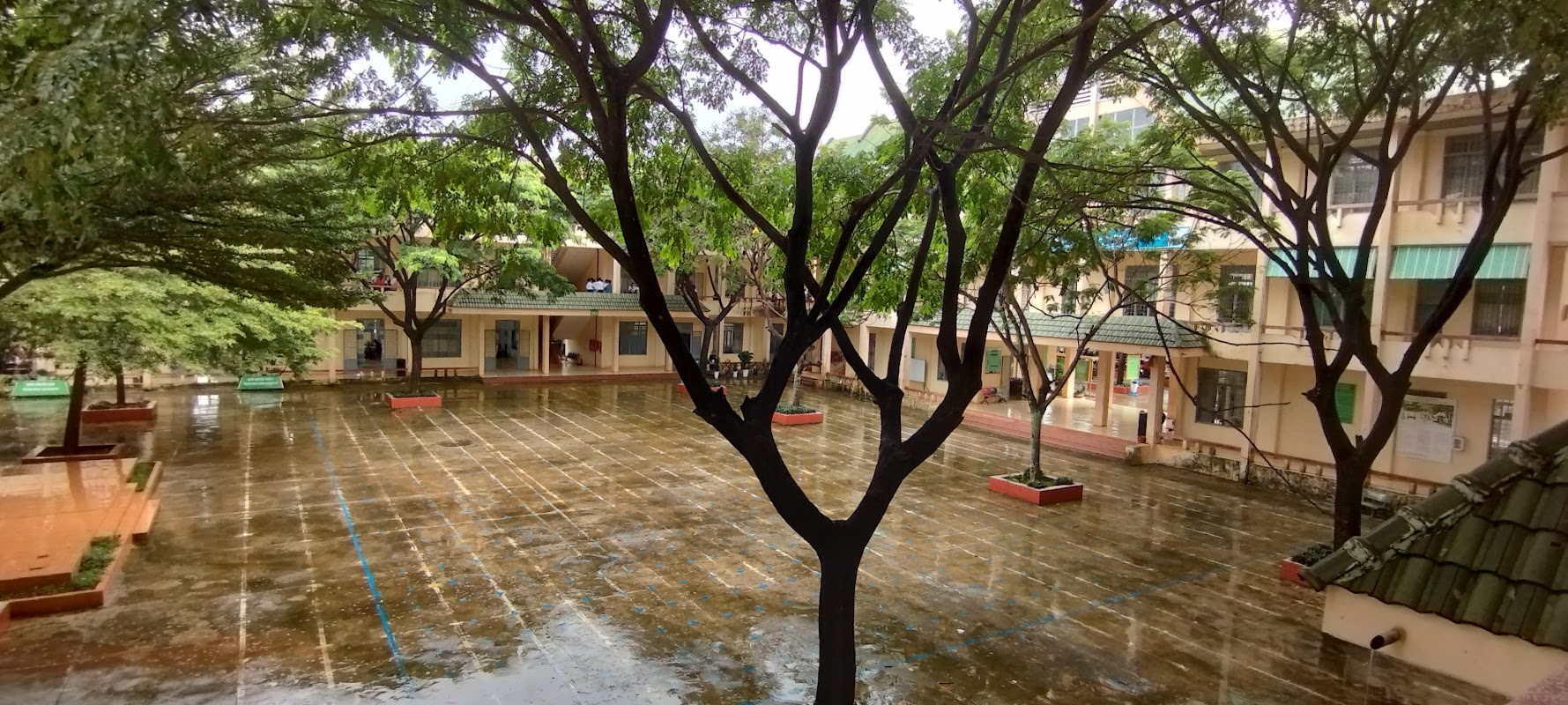 Trường THPT Chuyên Nguyễn Chí Thanh