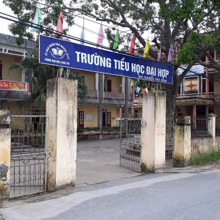 Trường tiểu học Đại Hợp