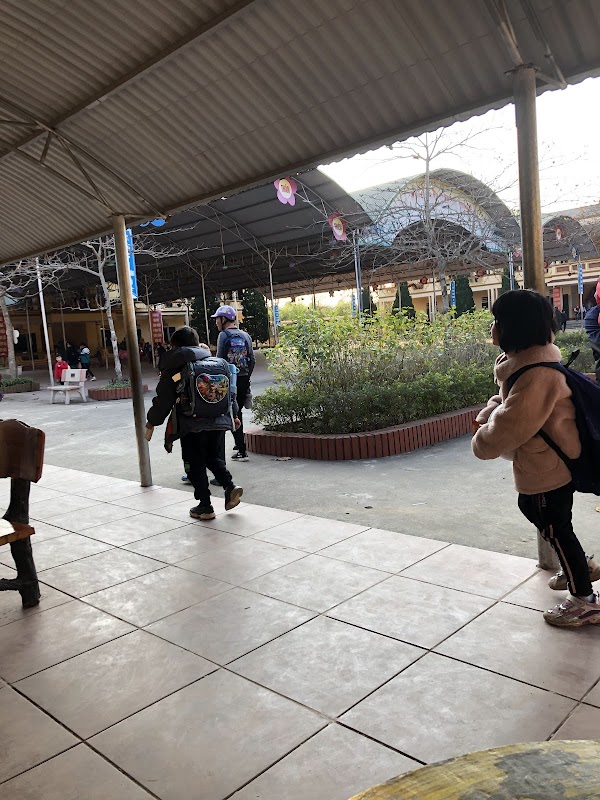 Truong Tieu Hoc Thi Tran Ha Hoa