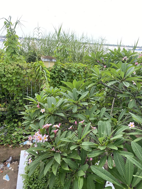 Trường Phổ Thông năng khiếu TDTT thành phố Cần Thơ