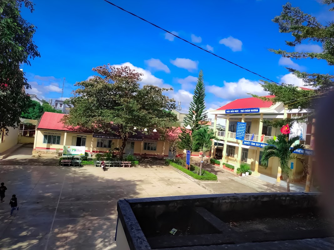 Trường Tiểu Học Lý Tự Trọng