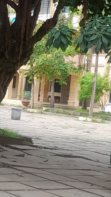 Trường THCS Minh Trí