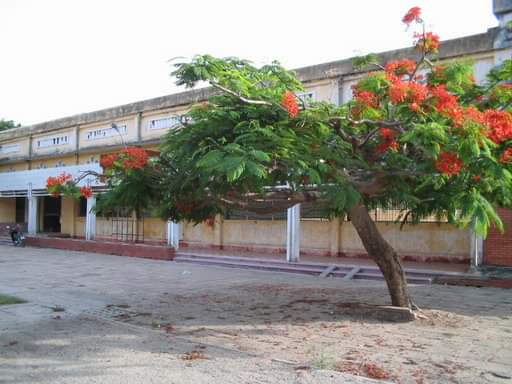 Trường Quốc học Quy Nhơn