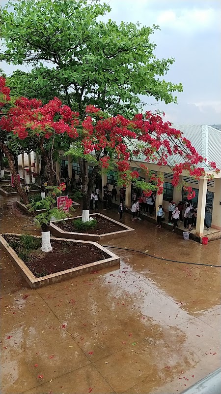 Trường Trung Học Cơ Sở Ngô Gia Tự