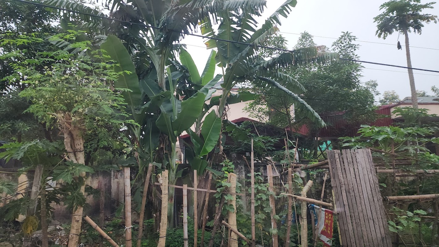 Trường mầm non Ninh Khánh