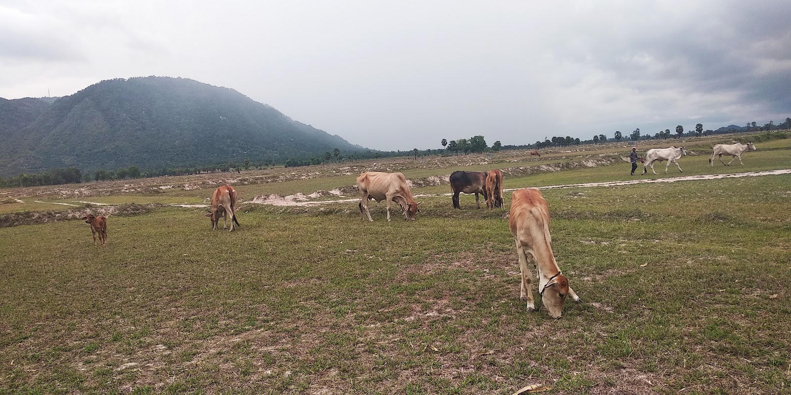 Trường THCS Trần Đại Nghĩa