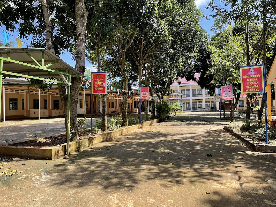 Trường tiểu học Tô Hiệu