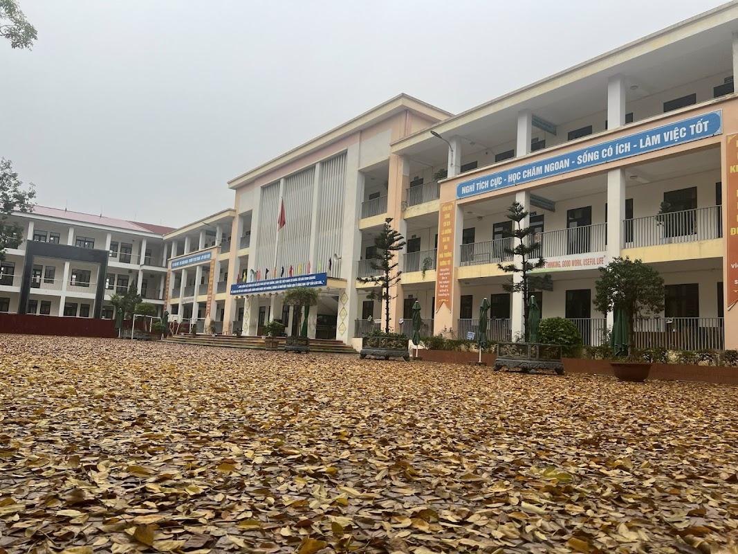 Trường Tiểu học Song Mai