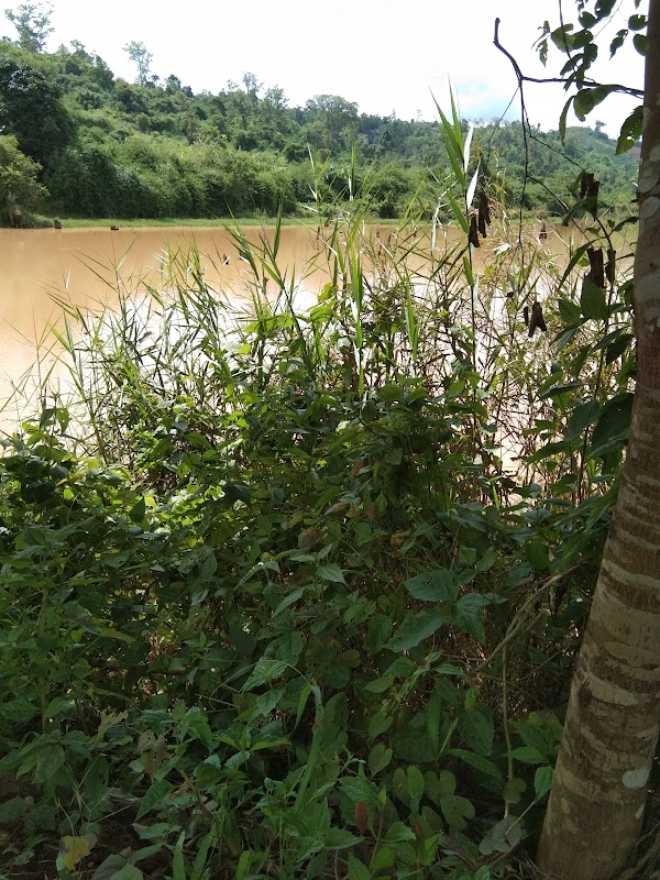 Thao trường Đức Xuyên