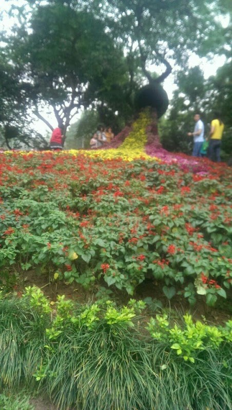 Trường Tiểu Học Quang Bình