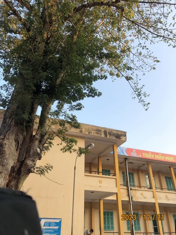 Trường THCS Huyền Tụng